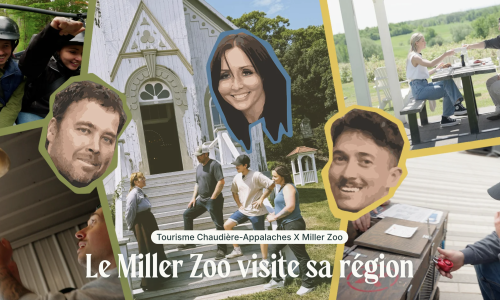 Le Zoo Miller visite sa région - Galerie Studio