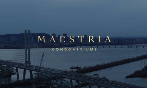 Maestria - The Skybridge - Galerie Studio